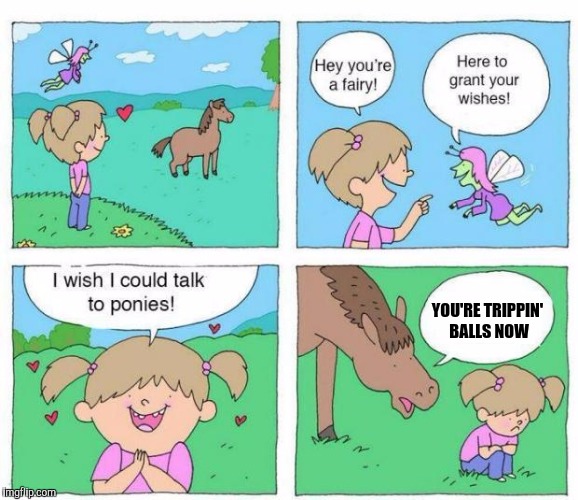 I talked to a tree once, and a phone booth, I was trippin' hard. | YOU'RE TRIPPIN' BALLS NOW | image tagged in talk to ponies,sewmyeyesshut,funny memes | made w/ Imgflip meme maker