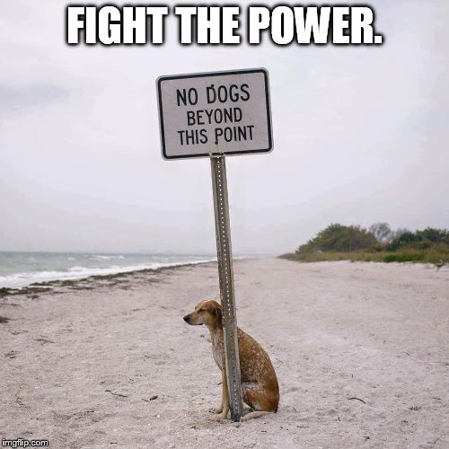 Fight the Power No Dogs | FIGHT THE POWER. | image tagged in fight the power no dogs | made w/ Imgflip meme maker