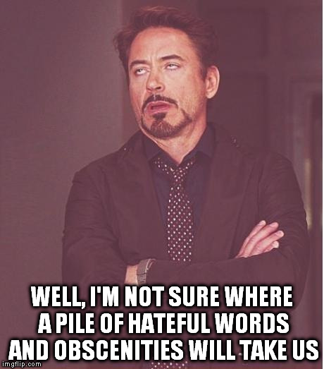 Face You Make Robert Downey Jr Meme | WELL, I'M NOT SURE WHERE A PILE OF HATEFUL WORDS AND OBSCENITIES WILL TAKE US | image tagged in memes,face you make robert downey jr | made w/ Imgflip meme maker