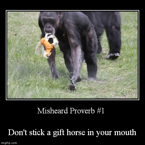 Hmm, maybe I'll make misheard proverbs a series | image tagged in funny,demotivationals,misheard,animals,proverb | made w/ Imgflip demotivational maker