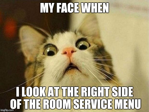 Scared Cat | MY FACE WHEN; I LOOK AT THE RIGHT SIDE OF THE ROOM SERVICE MENU | image tagged in memes,scared cat | made w/ Imgflip meme maker