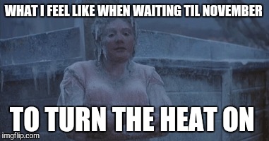 frozen | WHAT I FEEL LIKE WHEN WAITING TIL NOVEMBER; TO TURN THE HEAT ON | image tagged in frozen,cold weather | made w/ Imgflip meme maker