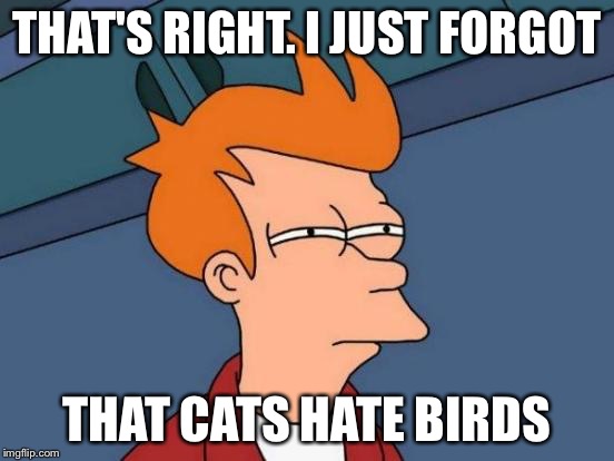Futurama Fry Meme | THAT'S RIGHT. I JUST FORGOT THAT CATS HATE BIRDS | image tagged in memes,futurama fry | made w/ Imgflip meme maker