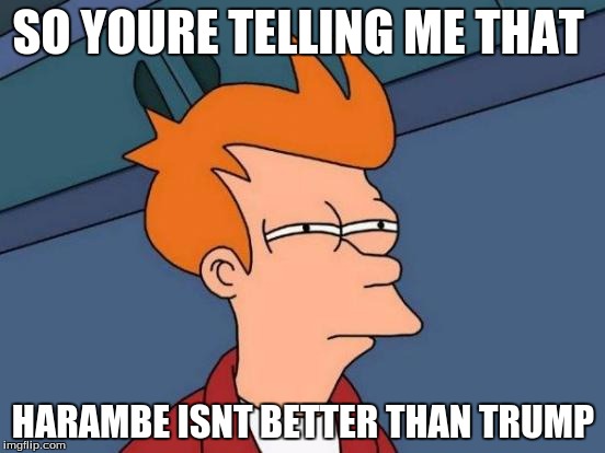 Futurama Fry | SO YOURE TELLING ME THAT; HARAMBE ISNT BETTER THAN TRUMP | image tagged in memes,futurama fry | made w/ Imgflip meme maker