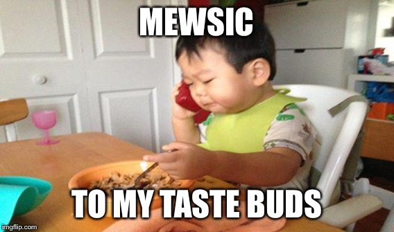 MEWSIC TO MY TASTE BUDS | made w/ Imgflip meme maker