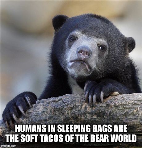 Confession Bear Meme | HUMANS IN SLEEPING BAGS ARE THE SOFT TACOS OF THE BEAR WORLD | image tagged in memes,confession bear | made w/ Imgflip meme maker