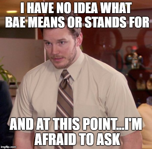 Afraid To Ask Andy Meme | I HAVE NO IDEA WHAT BAE MEANS OR STANDS FOR; AND AT THIS POINT...I'M AFRAID TO ASK | image tagged in memes,afraid to ask andy | made w/ Imgflip meme maker