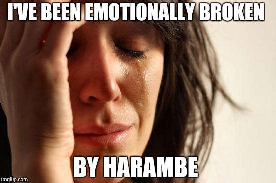 First World Problems Meme | I'VE BEEN EMOTIONALLY BROKEN BY HARAMBE | image tagged in memes,first world problems | made w/ Imgflip meme maker