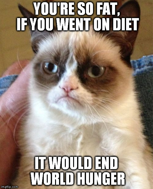 No offense intended to the chubby ones here :)  | YOU'RE SO FAT, IF YOU WENT ON DIET; IT WOULD END WORLD HUNGER | image tagged in memes,grumpy cat | made w/ Imgflip meme maker
