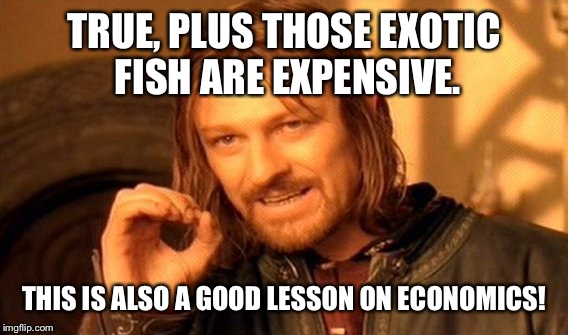 One Does Not Simply Meme | TRUE, PLUS THOSE EXOTIC FISH ARE EXPENSIVE. THIS IS ALSO A GOOD LESSON ON ECONOMICS! | image tagged in memes,one does not simply | made w/ Imgflip meme maker
