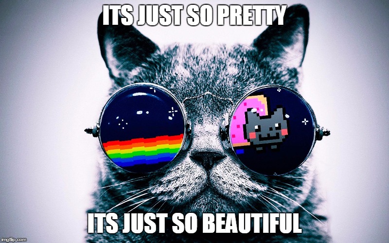 Nyan Cat-Loving Kitty | ITS JUST SO PRETTY; ITS JUST SO BEAUTIFUL | image tagged in nyan,cat,nyan cat,keyboard cat,shiny,cool | made w/ Imgflip meme maker