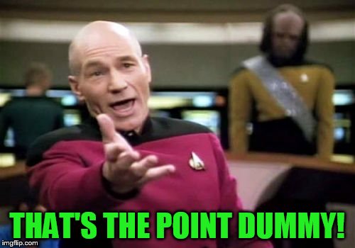 Picard Wtf Meme | THAT'S THE POINT DUMMY! | image tagged in memes,picard wtf | made w/ Imgflip meme maker