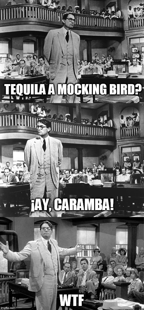 To Kill a Mockingbird | TEQUILA A MOCKING BIRD? WTF ¡AY, CARAMBA! | image tagged in to kill a mockingbird | made w/ Imgflip meme maker