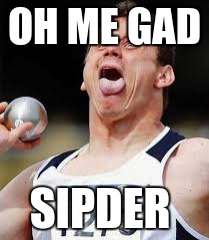 OH ME GAD; SIPDER | image tagged in sports,derp | made w/ Imgflip meme maker