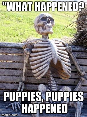 Waiting Skeleton Meme | "WHAT HAPPENED? PUPPIES, PUPPIES HAPPENED | image tagged in memes,waiting skeleton | made w/ Imgflip meme maker