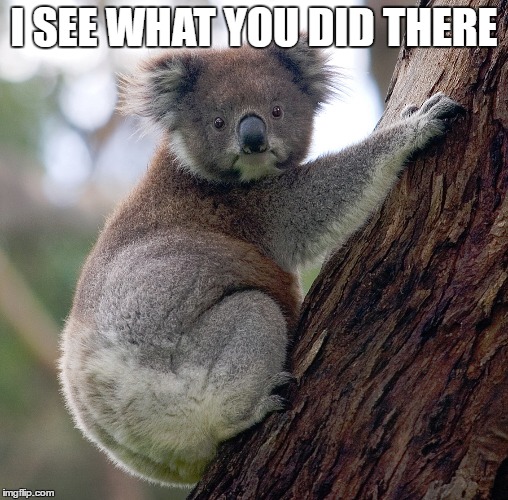 I SEE WHAT YOU DID THERE | made w/ Imgflip meme maker