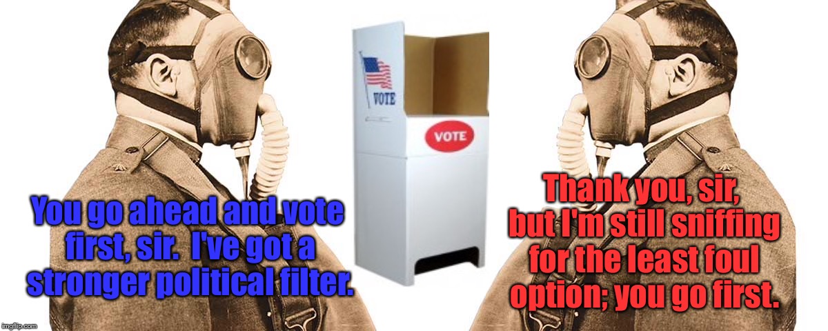 Welcome to Election Day 2016 - Don't forget your gas masks! | Thank you, sir, but I'm still sniffing for the least foul option; you go first. You go ahead and vote first, sir.  I've got a stronger political filter. | image tagged in memes,election day,gas masks,clinton,trump,political stink | made w/ Imgflip meme maker