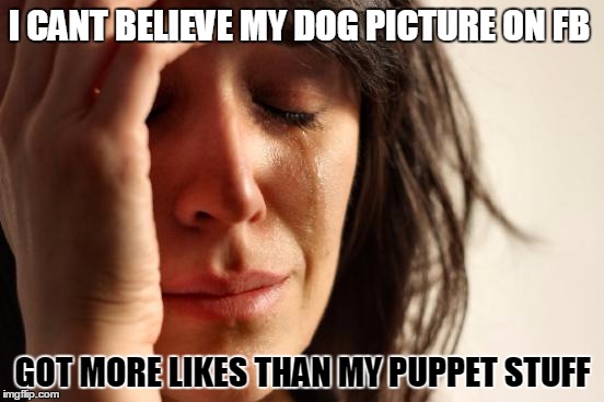 First World Problems | I CANT BELIEVE MY DOG PICTURE ON FB; GOT MORE LIKES THAN MY PUPPET STUFF | image tagged in memes,first world problems | made w/ Imgflip meme maker