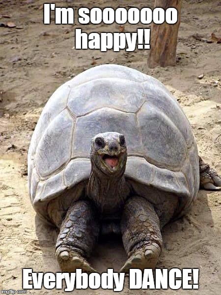 Smiling happy excited tortoise | I'm sooooooo happy!! Everybody DANCE! | image tagged in smiling happy excited tortoise | made w/ Imgflip meme maker