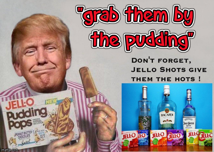 image tagged in dumptrump,nevertrump,jello,bill cosby pudding,pudding,pervert | made w/ Imgflip meme maker