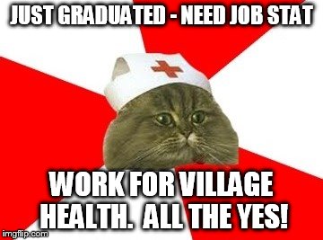 nurse cat | JUST GRADUATED - NEED JOB STAT; WORK FOR VILLAGE HEALTH.  ALL THE YES! | image tagged in nurse cat | made w/ Imgflip meme maker