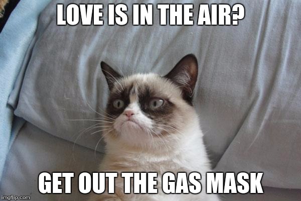 Grumpy Cat Bed | LOVE IS IN THE AIR? GET OUT THE GAS MASK | image tagged in memes,grumpy cat bed,grumpy cat | made w/ Imgflip meme maker