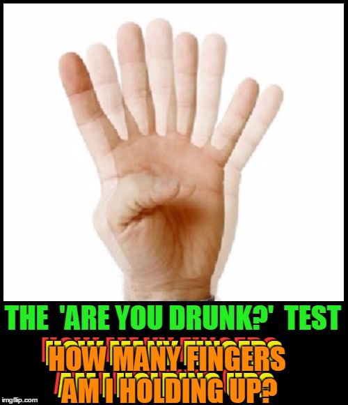 The 'ARE YOU DRUNK?' Test | THE  'ARE YOU DRUNK?'  TEST; HOW MANY FINGERS AM I HOLDING UP? HOW MANY FINGERS AM I HOLDING UP? HOW MANY FINGERS AM I HOLDING UP? | image tagged in sobriety test,vince vance,under the influence | made w/ Imgflip meme maker