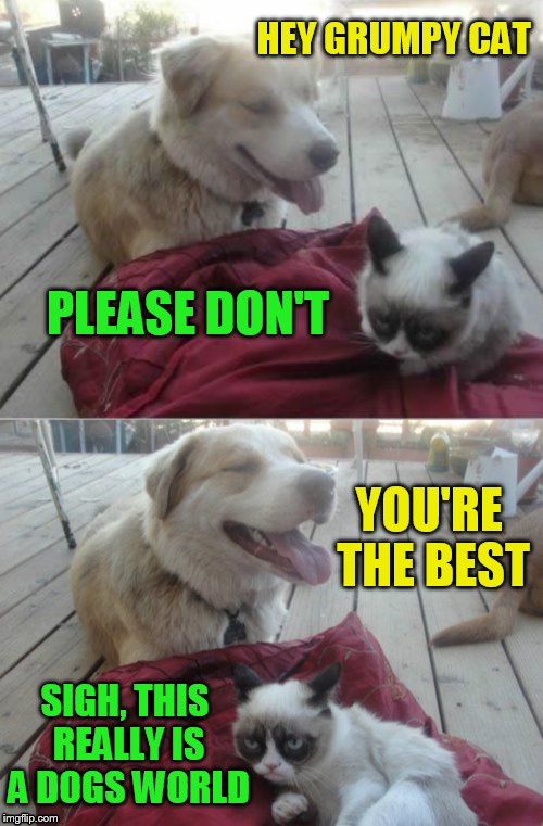 Grumpy Cat and his dog | HEY GRUMPY CAT PLEASE DON'T YOU'RE THE BEST SIGH, THIS REALLY IS A DOGS WORLD | image tagged in grumpy cat and his dog | made w/ Imgflip meme maker