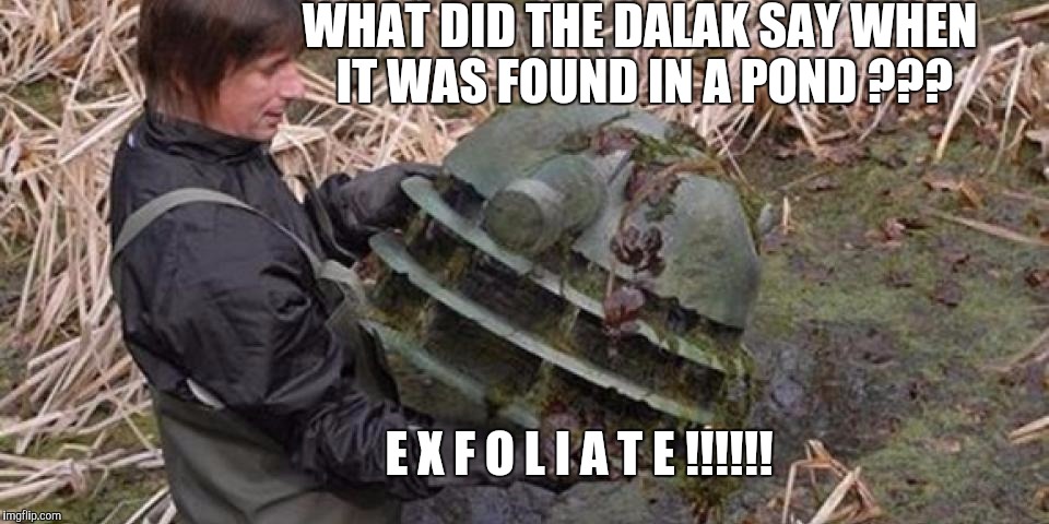 DR WHO ??? | WHAT DID THE DALAK SAY WHEN IT WAS FOUND IN A POND ??? E X F O L I A T E !!!!!! | image tagged in dr who,bad jokes,puns,stupid memes,bad meme | made w/ Imgflip meme maker