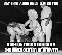 SAY THAT AGAIN AND I'LL KICK YOU RIGHT IN YOUR VERTICALLY ENDOWED CENTER OF GRAVITY | made w/ Imgflip meme maker