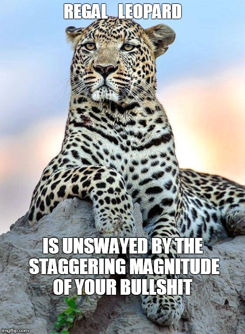 Regal Leopard Unswayed | REGAL   LEOPARD; IS UNSWAYED BY THE STAGGERING MAGNITUDE OF YOUR BULLSHIT | image tagged in leopard,regal,unimpressed,memes,funny memes | made w/ Imgflip meme maker