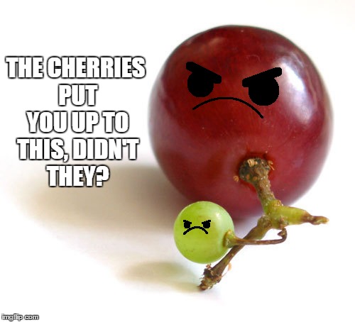 THE CHERRIES PUT YOU UP TO THIS, DIDN'T THEY? | made w/ Imgflip meme maker