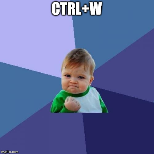 Success Kid Meme | CTRL+W | image tagged in memes,success kid | made w/ Imgflip meme maker
