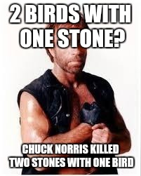 Chuck Norris Flex | 2 BIRDS WITH ONE STONE? CHUCK NORRIS KILLED TWO STONES WITH ONE BIRD | image tagged in chuck norris | made w/ Imgflip meme maker