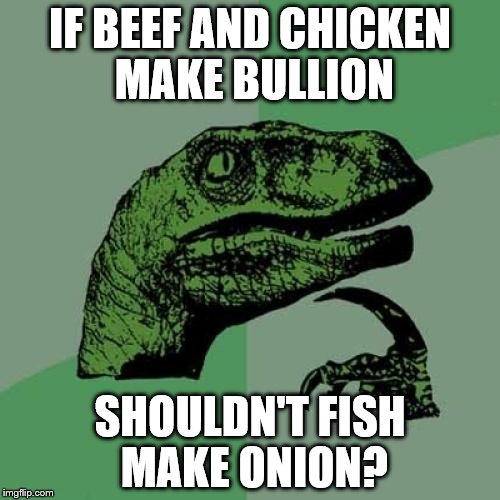 Philosoraptor | IF BEEF AND CHICKEN MAKE BULLION; SHOULDN'T FISH MAKE ONION? | image tagged in memes,philosoraptor | made w/ Imgflip meme maker