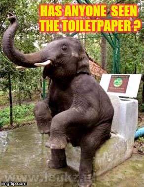 NATURE IS CALLING | HAS ANYONE  SEEN THE TOILETPAPER ? | image tagged in nature,funny animals,toilet humor | made w/ Imgflip meme maker