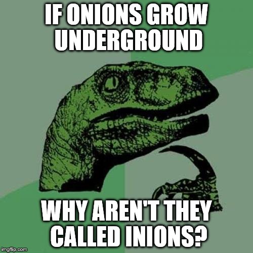 Philosoraptor Meme | IF ONIONS GROW UNDERGROUND; WHY AREN'T THEY CALLED INIONS? | image tagged in memes,philosoraptor | made w/ Imgflip meme maker