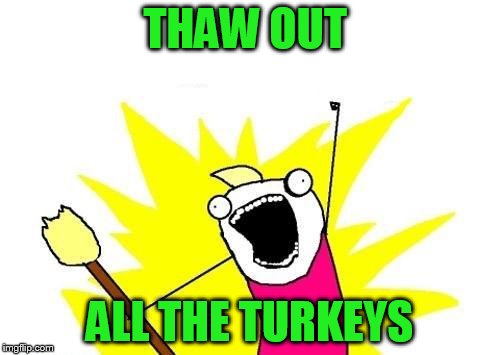 X All The Y Meme | THAW OUT ALL THE TURKEYS | image tagged in memes,x all the y | made w/ Imgflip meme maker