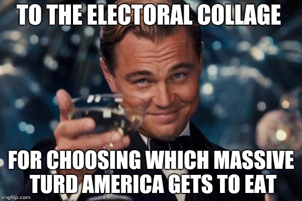 Leonardo Dicaprio Cheers | TO THE ELECTORAL COLLAGE; FOR CHOOSING WHICH MASSIVE TURD AMERICA GETS TO EAT | image tagged in memes,leonardo dicaprio cheers | made w/ Imgflip meme maker