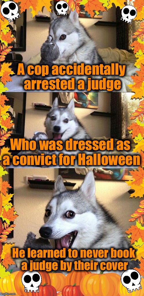 Halloween Is so much Pun! | A cop accidentally arrested a judge; Who was dressed as a convict for Halloween; He learned to never book a judge by their cover | image tagged in spoopy pun dog | made w/ Imgflip meme maker