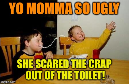 Yo yo yo... | YO MOMMA SO UGLY; SHE SCARED THE CRAP OUT OF THE TOILET! | image tagged in yo momma so fat,memes,cool story | made w/ Imgflip meme maker