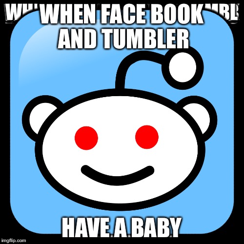 WHEN FACE BOOK AND TUMBLER; HAVE A BABY | image tagged in funny | made w/ Imgflip meme maker