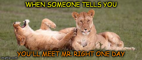 WHEN SOMEONE TELLS YOU; YOU'LL MEET MR. RIGHT ONE DAY | image tagged in now that's funny | made w/ Imgflip meme maker