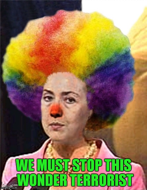 WE MUST STOP THIS WONDER TERRORIST | made w/ Imgflip meme maker