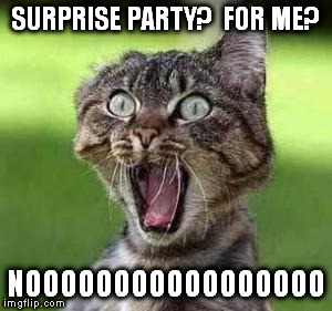 scared cat | SURPRISE PARTY?  FOR ME? NOOOOOOOOOOOOOOOOO | image tagged in scared cat | made w/ Imgflip meme maker