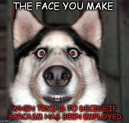 Scared Dog |  THE FACE YOU MAKE; WHEN TRYING TO DECIDE IF SARCASM HAS BEEN EMPLOYED. | image tagged in scared dog | made w/ Imgflip meme maker