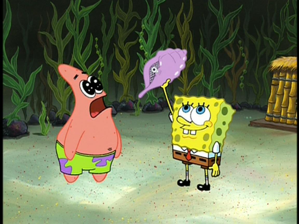 High Quality Conch Shell Blank Meme Template