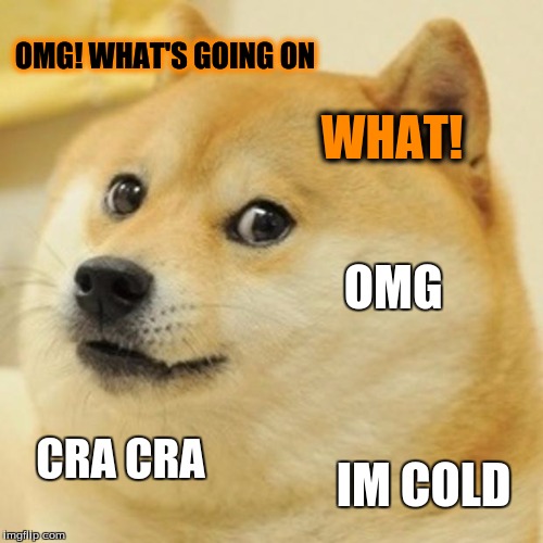 Doge | OMG! WHAT'S GOING ON; WHAT! OMG; CRA CRA; IM COLD | image tagged in memes,doge | made w/ Imgflip meme maker