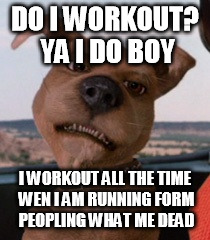 Scrappy Doo | DO I WORKOUT? YA I DO BOY; I WORKOUT ALL THE TIME WEN I AM RUNNING FORM PEOPLING WHAT ME DEAD | image tagged in scrappy doo | made w/ Imgflip meme maker