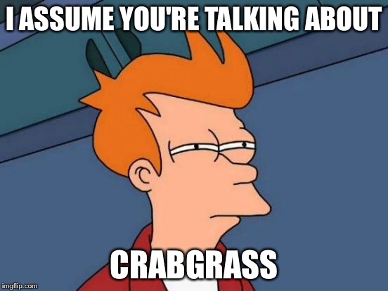 Futurama Fry Meme | I ASSUME YOU'RE TALKING ABOUT CRABGRASS | image tagged in memes,futurama fry | made w/ Imgflip meme maker